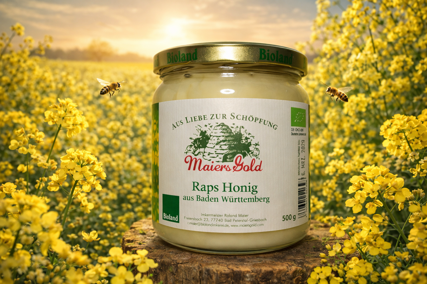 Rapeseed Honey